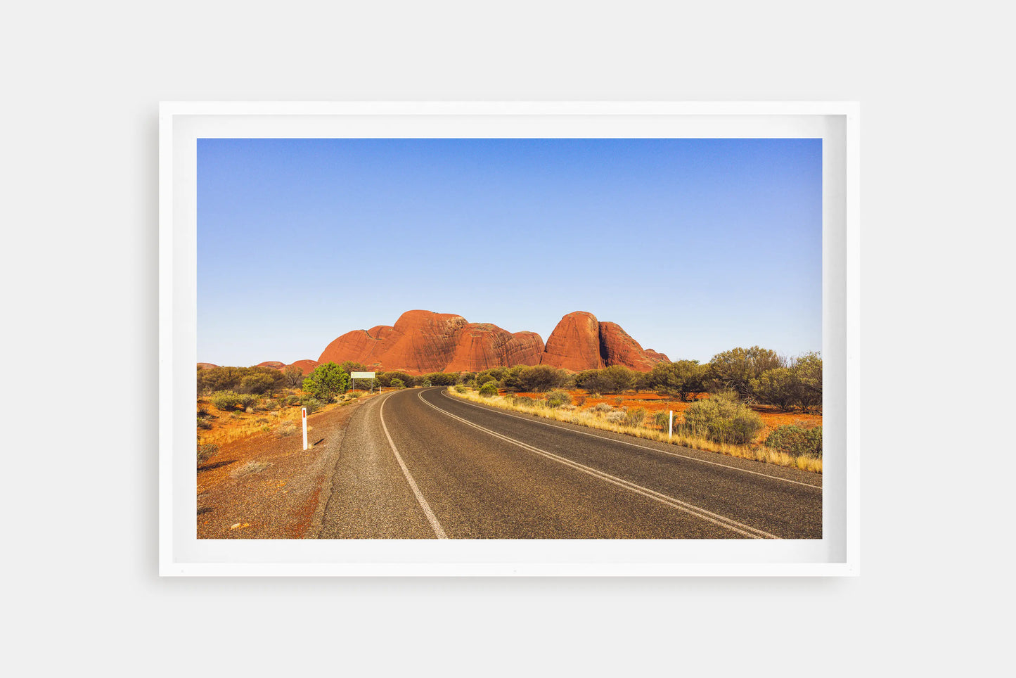 THE OLGAS