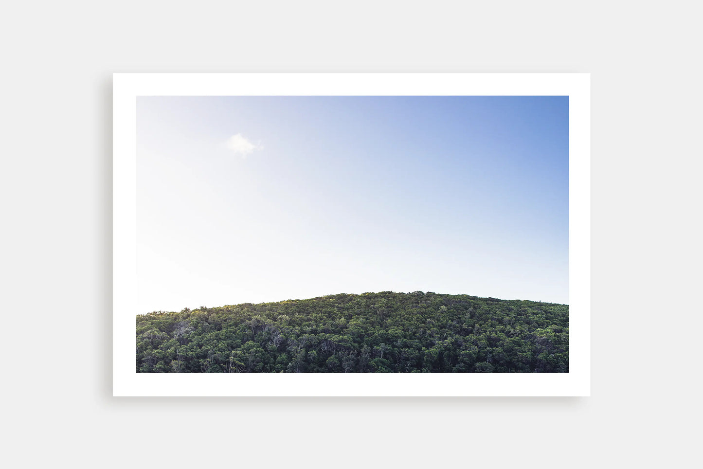 TREE TOPS