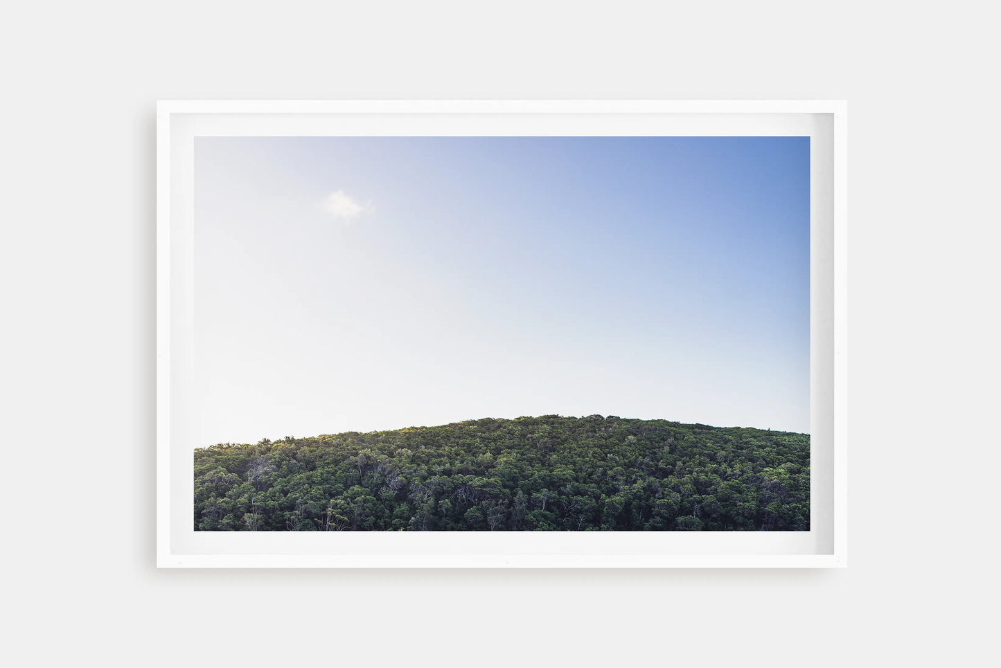 TREE TOPS