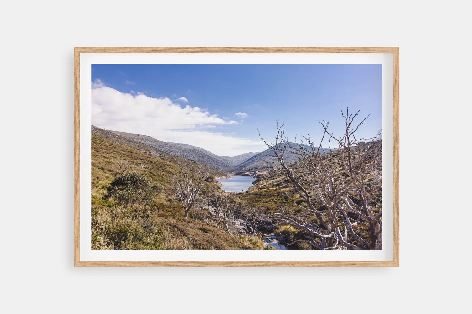 SNOWY MOUNTAINS