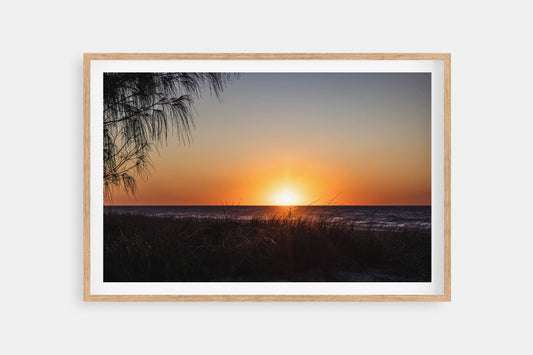 Coongul camp site on Fraser Island. Australian Landscape Wall Art Prints by Explore By More. Raw Oak Print.