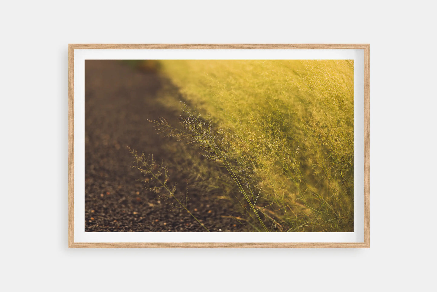 soft grass yellow and green wall art print by Explore By More