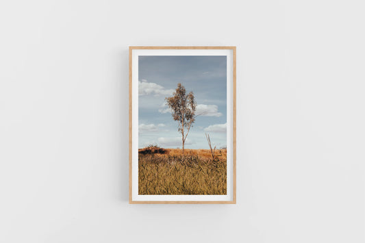 LONE TREE