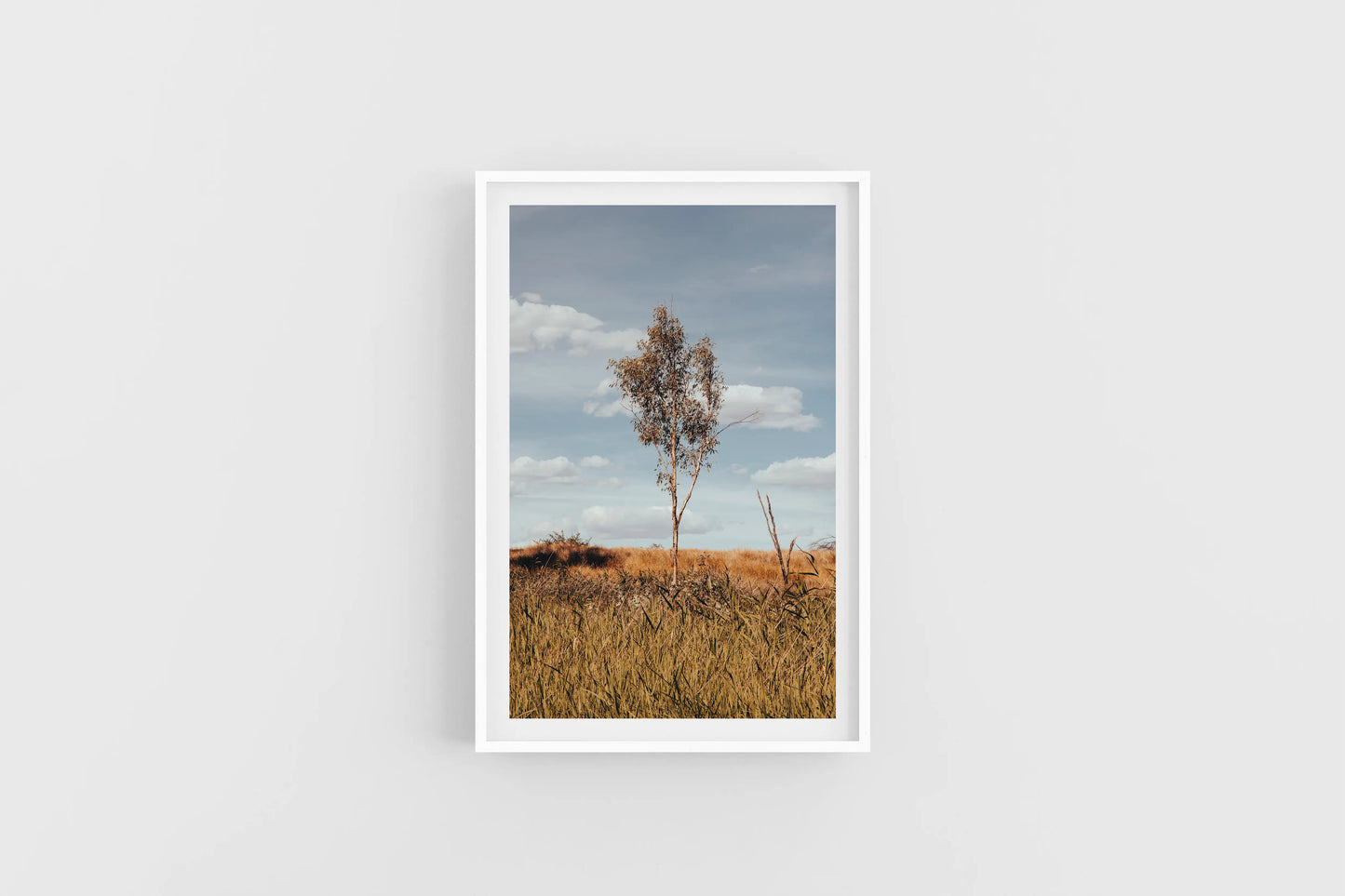 LONE TREE