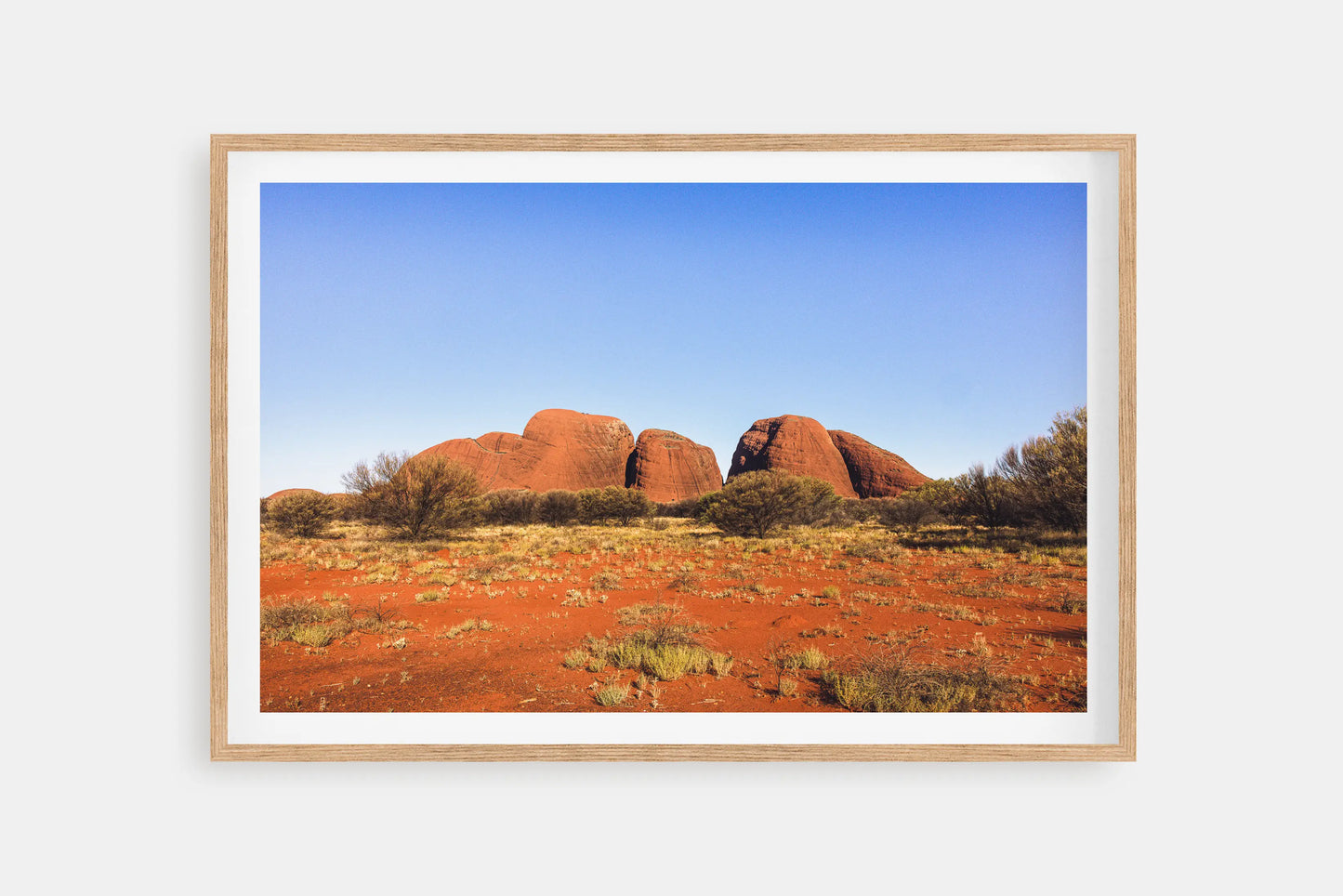 OLGAS BEHIND