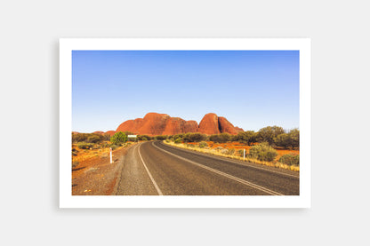 THE OLGAS