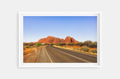 THE OLGAS