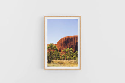 ULURU RED