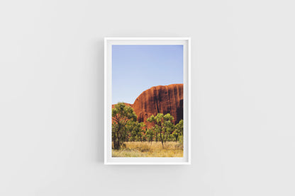 ULURU RED