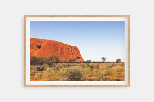 ULURU RIGHT